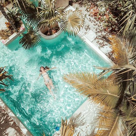 Hotel Buenavista Bacalar Jungle Experience Bagian luar foto