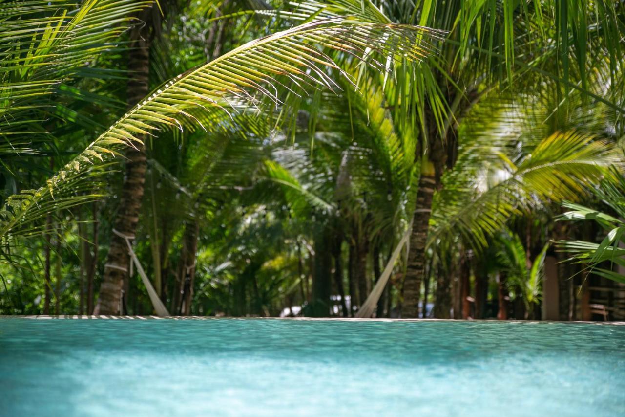 Hotel Buenavista Bacalar Jungle Experience Bagian luar foto