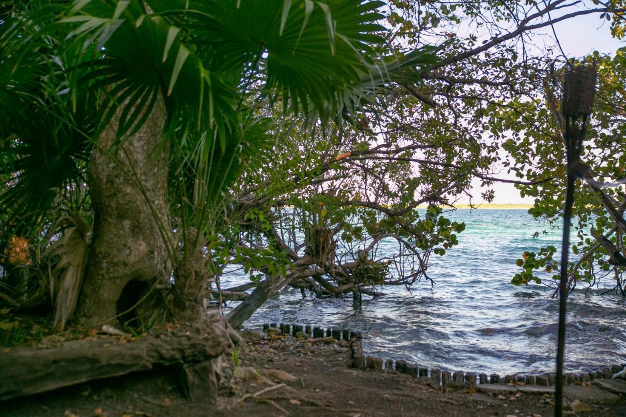 Hotel Buenavista Bacalar Jungle Experience Bagian luar foto
