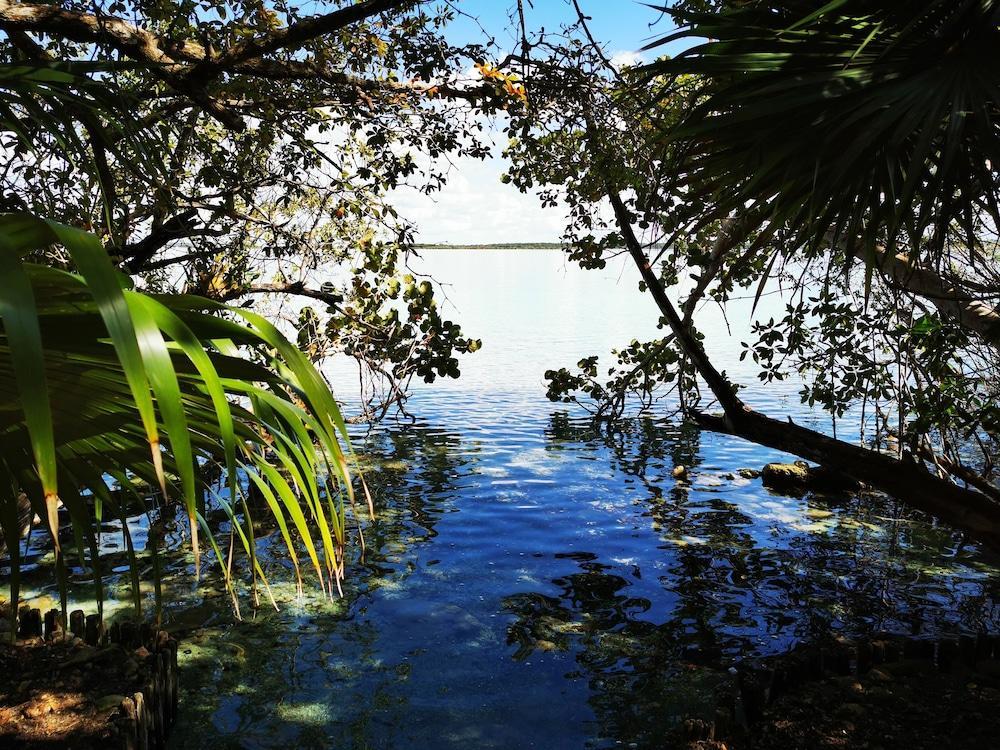 Hotel Buenavista Bacalar Jungle Experience Bagian luar foto