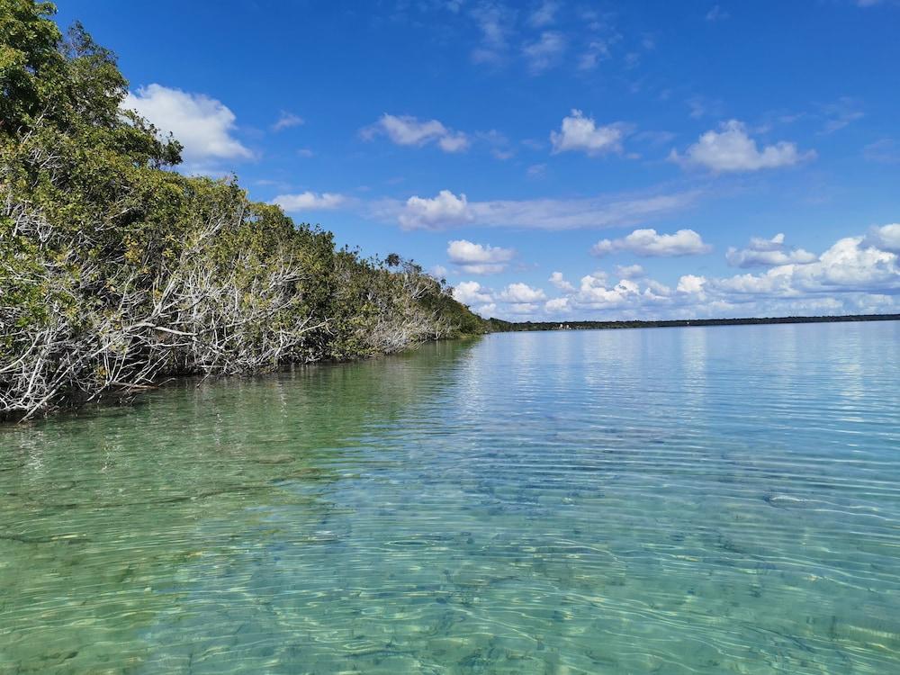 Hotel Buenavista Bacalar Jungle Experience Bagian luar foto